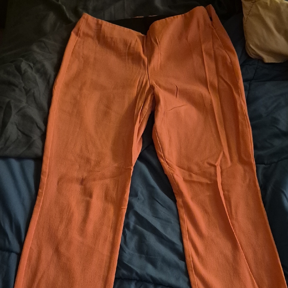 Old Navy Orange Ankle Pants